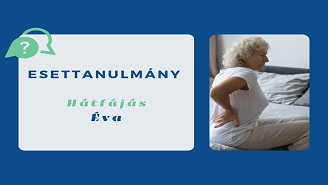 esettanulmány